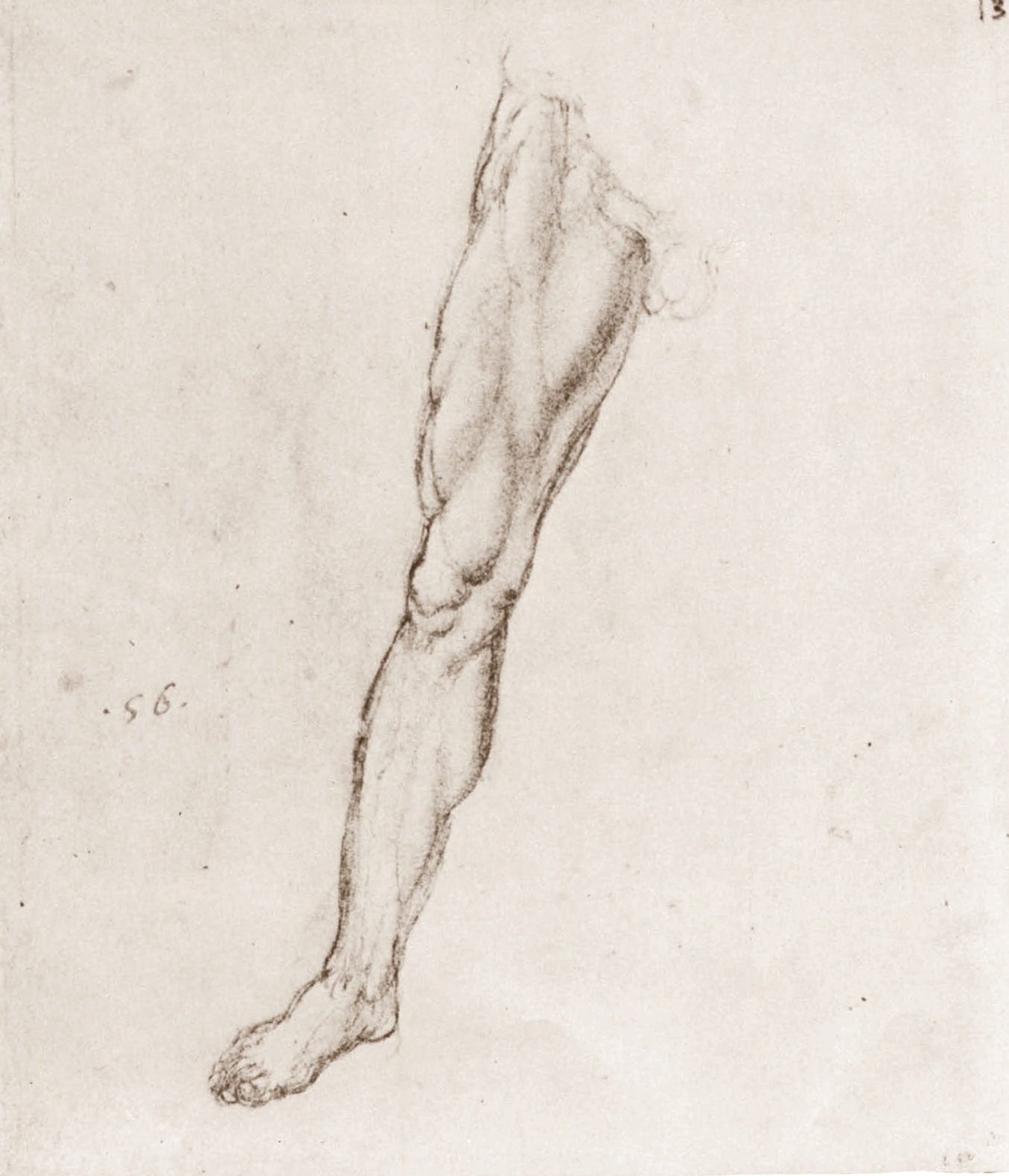 Leonardo+da+Vinci-1452-1519 (826).jpg